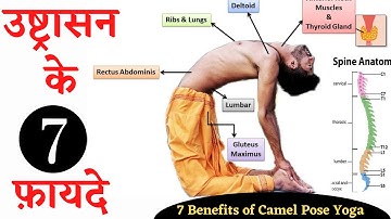 Top 7 Benefits of Camel Pose Yoga / Camel pose ke fayde / Practice this daily for a healthy spine