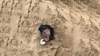 She stucked under sand, swollen, sunburned and missing 90 of her fur and tearful truth behind! by The DoCa 1,430 views 1 month ago 8 minutes, 4 seconds