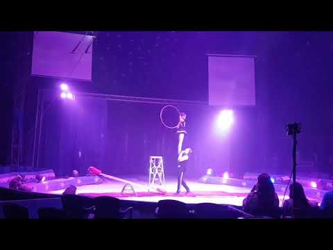 Acrobatics Springboard Teeterboard Entertainment Circus Act Performance
