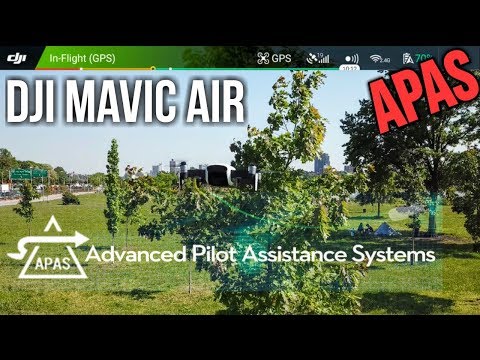dji apas