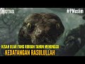 Kisah Seekor Ular Yang Sudah Ribuan Tahun Menunggu Kedatangan Rasulullah #PMuslim