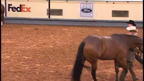 AQHA 2006 World Champion Open 2 yr old Gelding, A ...