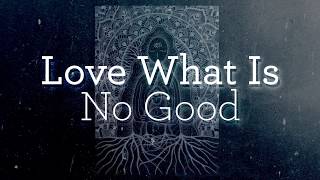 Love What Is No Good - Steve Flynn - Tools For Humanity