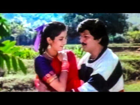Mohan Babu, Divya