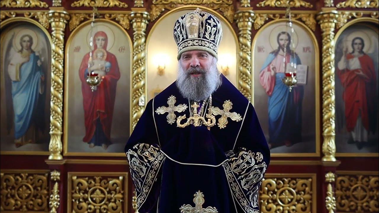 Епископ питирим скопинский. Епископ питирим рпц. Проповедь епископа питирима творогова. Проповедь епископа питирима творогова. Проповедь священника.