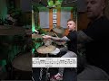 DRUM LESSON - GREEN DAY ‘BASKET CASE’ #drummer #drumfill #drumlessons