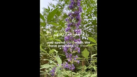 وَالَّذِينَ صَبَرُوا ابْتِغَاءَ وَجْهِ رَبِّهِمْ وَأَقَامُوا الصَّلَاة ....القارئ ياسر الدوسري