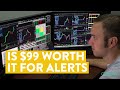 Live day trading  is 99 worth it for stock trade alerts like this real results