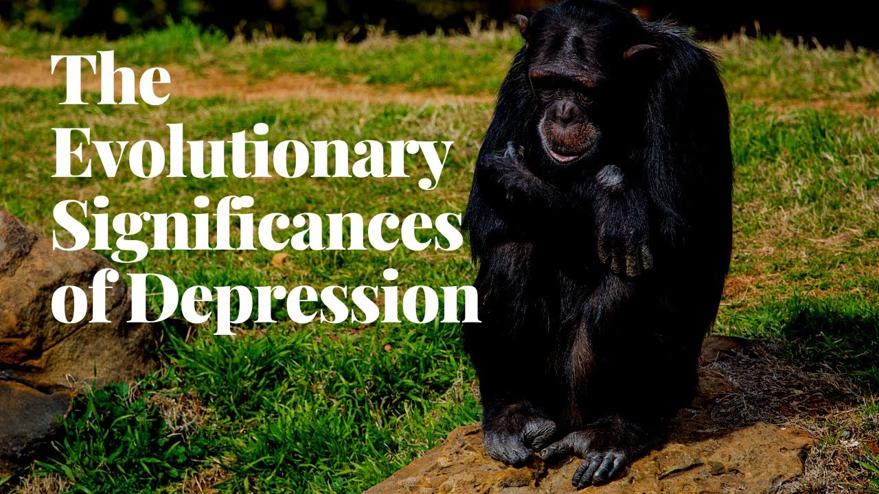 The Evolutionary Significance Of Depression - How Depression Helps Us Survive