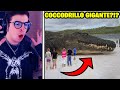 10 ANIMALI PIÙ PERICOLOSI E GRANDI DEL MONDO!!