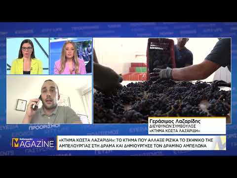 ΚΤΗΜΑ ΚΩΣΤΑ ΛΑΖΑΡΙΔΗ: