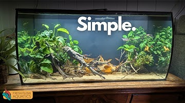 Setting up a VERY basic planted aquarium in the Fluval Flex 32 gal