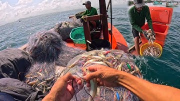 Lưới cá đục | giác lưới thứ 11 của năm 2025 | hoàng Phú quốc 