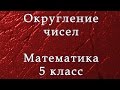 Округление чисел. Математика 5 класс