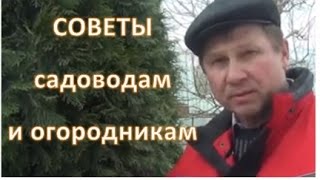 ПОЛЕЗНЫЕ СОВЕТЫ. Боремся с вредителями БЕЗ ХИМИИ, КОМПОСТ из садового мусора! видео Какие животные являются вредителями капусты
