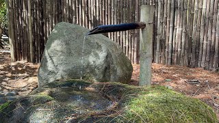 Japanese garden. Peaceful meditation spot