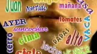 la oracion y sus partes.wmv