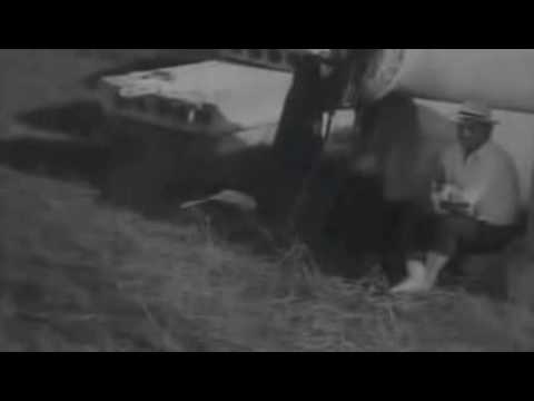 ვაი შენს პატრონს_cut_part2.avi