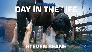 A Proper Day in the Life - Steven Beane