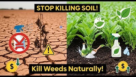 Use Organic Herbicides for farming & Stop Killing Your Soil!