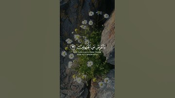 قرآن كريم #اللهم_صل_وسلم_على_نبينا_محمد #المصحف