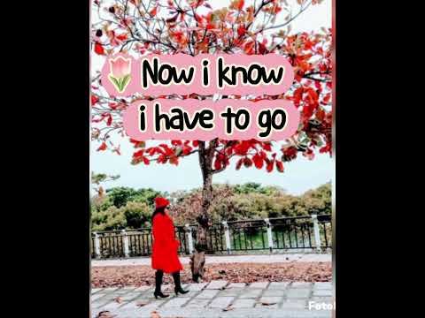 'I Can't find