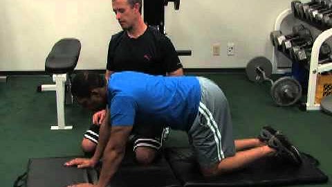 mobile-workout.com - Neck - Quadruped head retraction with rotation