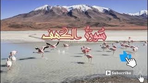 تلاوة هادئة، سورة الكهف، يوم الجمعة، صوت رائع، هدوء، فضيلة الشيخ توفيق الصايغ. Sourate Al-Kahf