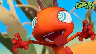 All in the Mind | Antiks 🐜 | Funny Cartoons for Kids