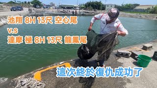 【福壽魚之章-當日上片】這次的星期三終於報仇成功了！另附上池翔跟達摩極的實戰畫面，給大家參考！