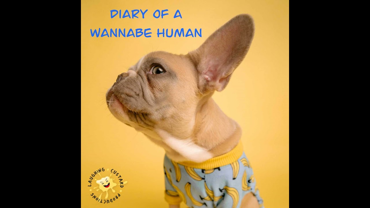 Ep343 - A Delicate Constitution