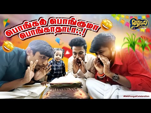Pongal Settaigal | The Vibrant Traditions of Pongal Celebration | Madrasgoli #pongal #Celebration