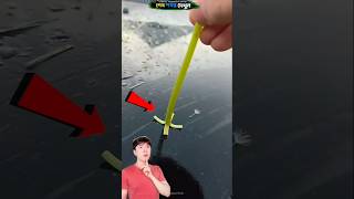Amazing Dandelion Trick#contentcreator#spiritualvibes