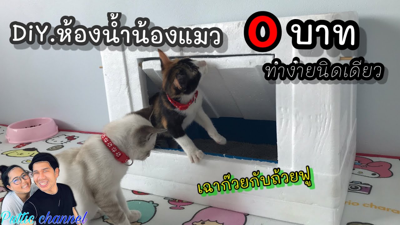 ห้องน้ำน้องแมว DIY เก็บกลิ่นได้ดี[ทาสแมว]