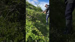 Amici Ancora: Prugnoli Lucani di Alta Quota, Ora Tocca ai Porcini calocybegambosa natura