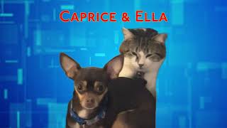 Caprice & Ella will not be shown due to The Great Eclipse 2024 by Caprice & Ella 9 views 2 weeks ago 13 seconds