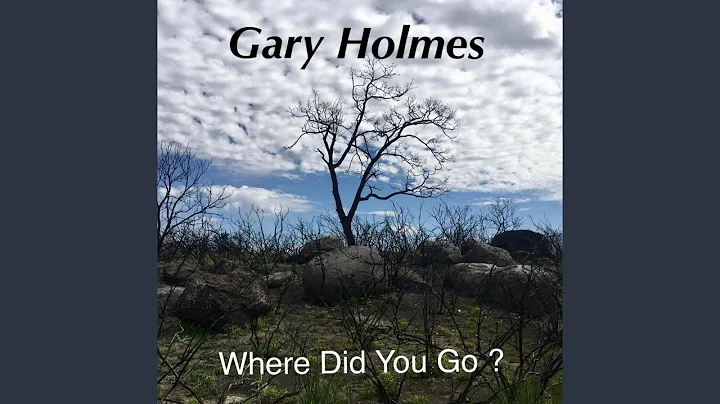 Where Did You Go