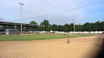 Shizzle Whizzles ARHA Ranch Trail Class with Steve Lantvit, 2013