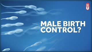 Why Isn't there a Birth Control Pill for Males?