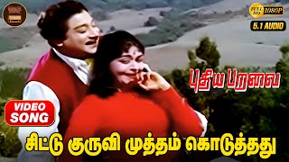 Chittu Kuruvi | HD Video Song 5.1 | Sivaji Ganesan | Saroja Devi | P Susheela | Kannadasan | MSV