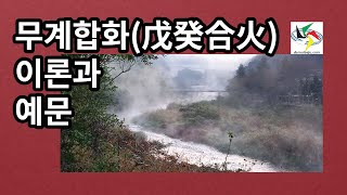 다물사주 청암 김석택 ... 무계합화의 이론과 예문 ...