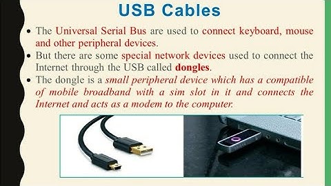 XII Computer Applications|Network Cabling|Chapter 13|Shyni Pradeep