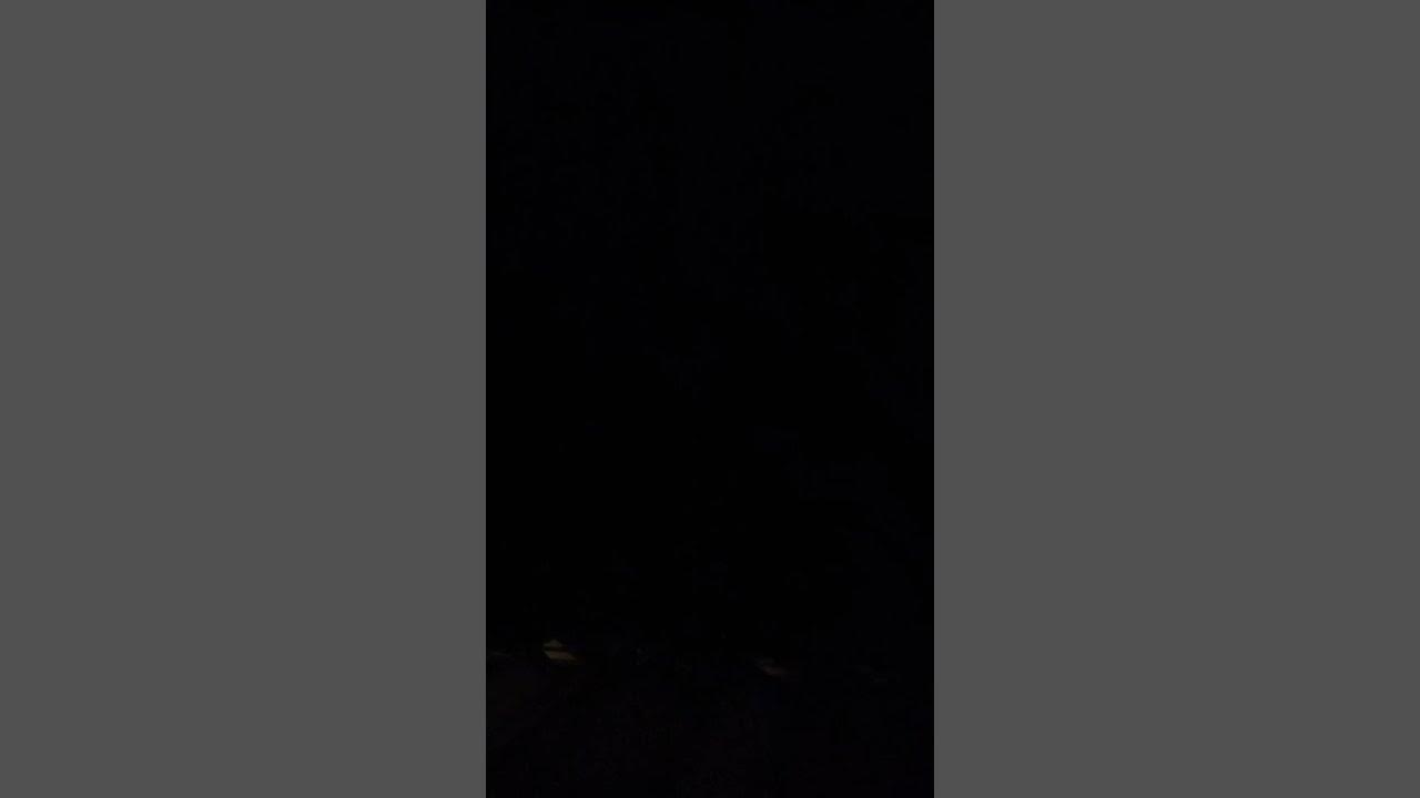 Noisy Neighbors 1 YouTube