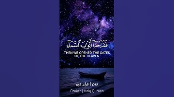قران كريم الشيخ ياسر الدوسري ❤ #قرآن #اكسبلور #فذكر #تلاو #تلاوة #راحة_نفسية
