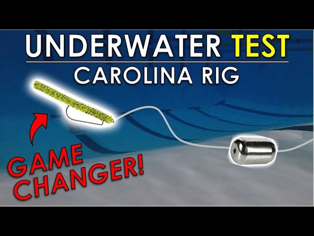 BEST Carolina Rig Lure NOBODY Uses - Watch it Underwater 