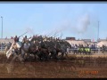إلى جميع الغيورين على قبيلة اولاد فارس إلى جميع الغيورين على قبيلة اولاد فارس