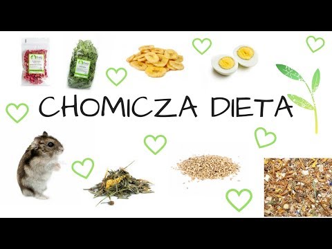 Chomicza dieta