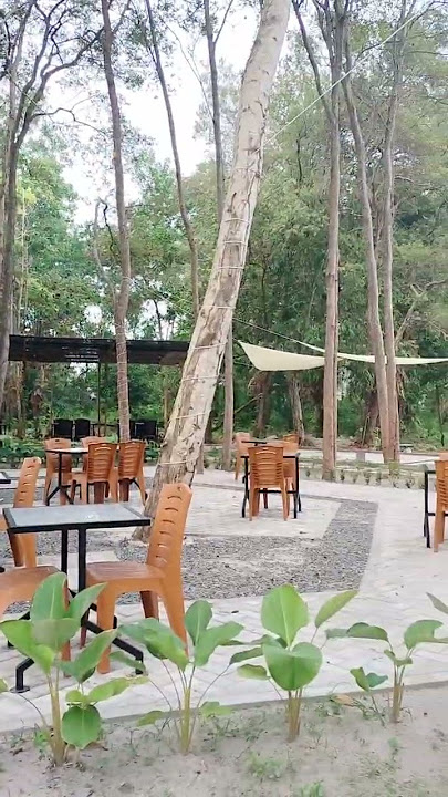 Cafe baru instragamable di Palangka Raya, Kopitech #café #cofeeshop #palangkaraya #shorts