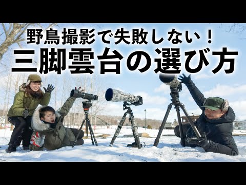 【三脚と雲台】失敗しない！野鳥動物撮影はこれ！【ジンバル雲台VSビデオ雲台】