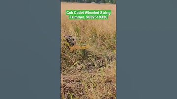 Cub Cadet Wheeled String Trimmer. 9032519330. #shorts #youtubeshorts #youtube #trending